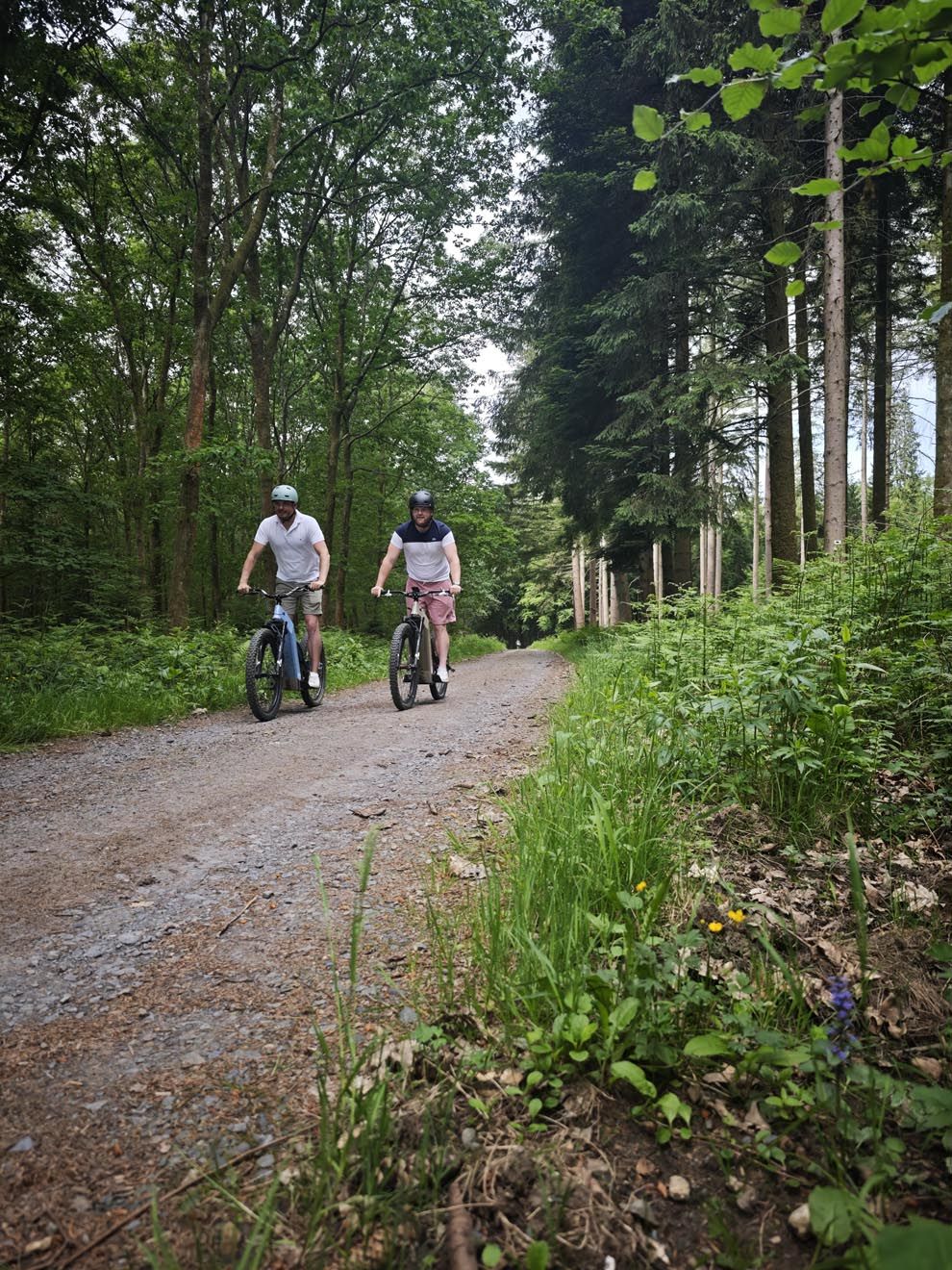 Balade guidée en trottinette électrique tout-terrain en Gaume