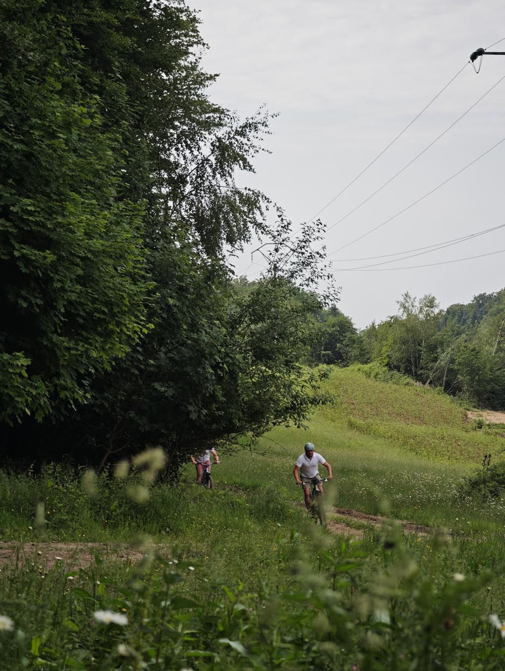 Paysage de la Gaume et de la vallée de la Semois